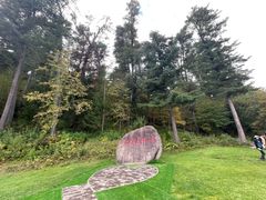 -五营红松林海景区