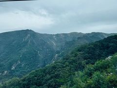 -牛背梁国家森林公园