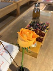 -FineYoga梵音瑜伽·普拉提