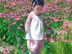 -汉长安城未央宫国家考古遗址公园