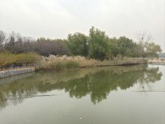 -大兴滨河森林公园