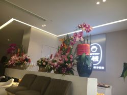 -海豚湾高端月子会所(黄浦店)