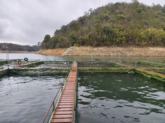 -千岛湖东南湖区