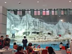 -帝企鹅自助餐厅•儿童岛•真企鹅(长隆企鹅酒店)