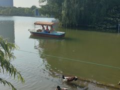 -大宁公园
