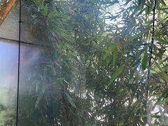 -潮州府·潮菜·砂锅粥(徐家汇店)