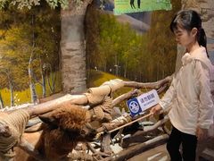 -正佳雨林生态植物园