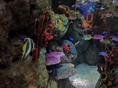 -沈阳海洋探索中心