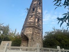 -上海佘山国家森林公园天马山园