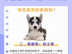 -申普宠物医院·心脏介入·心血管微创(总院)