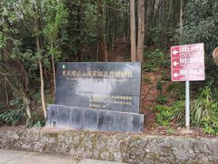 -缙云山景区