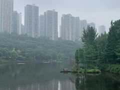 -重庆彩云湖湿地公园