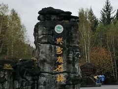 -汤旺河林海奇石景区