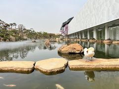 -罗红摄影艺术馆