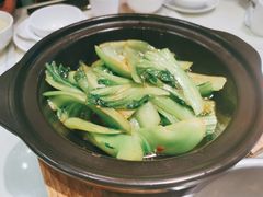 黄豆酱炒水东芥菜-海儀美食楼(湾仔海鲜街店)