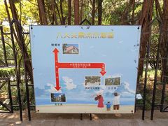 -八大关景区