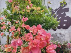 -洪江古商城