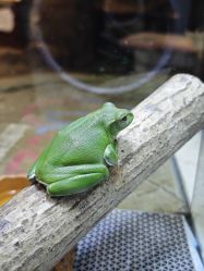 -酷嗒动物文化乐园(cutezoo西溪乐天城店)