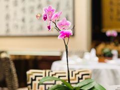 -明阁 Ming Court(广州朗豪酒店)