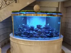 -碧中海汤泉汗蒸酒店