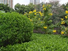 -晓港公园