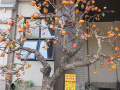 -江南婆婆(车墩店)