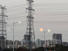 -小鱼锅贴明光土菜