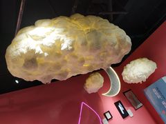 -上海外滩星空失恋减压馆(外滩旗舰馆)