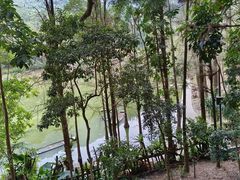 -深圳仙湖植物园