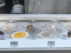 -Lady M(沙田新城市广场店)