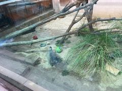 -青藏高原野生动物园