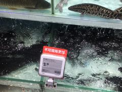 -盒马鲜生(财富中心店)