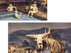 -苏州青少年科技馆