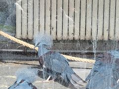 -大连老虎滩海洋公园