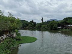 -中山詹园