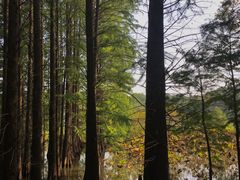 -东湖落雁景区