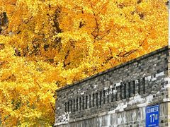 -四川大学(望江校区)