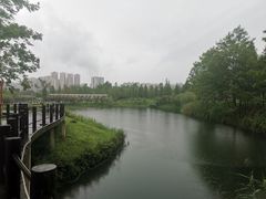 -眉山湿地公园(东坡区)