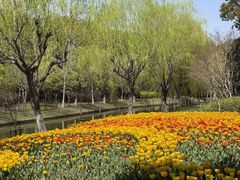 -上海鲜花港