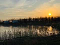 -天津东丽湖风景区