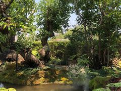 -Chom Cafe and Restaurant