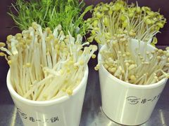 -串一火锅(赛格国际购物中心店)