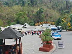 -西双版纳原始森林公园