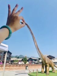 -恐龙探索乐园(磁器口店)