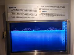 -白鹤梁水下博物馆