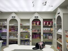 -特一安24小时宠物医院·骨科·中兽医
