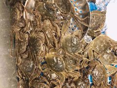-半岛听涛蒸汽海鲜自助(K11店)