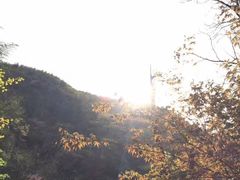 -藏龙百瀑风景区