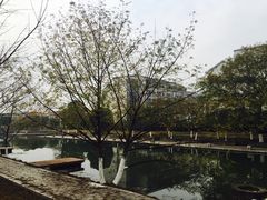 -江南大学(蠡湖校区)