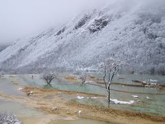-黄龙山原始森林景区